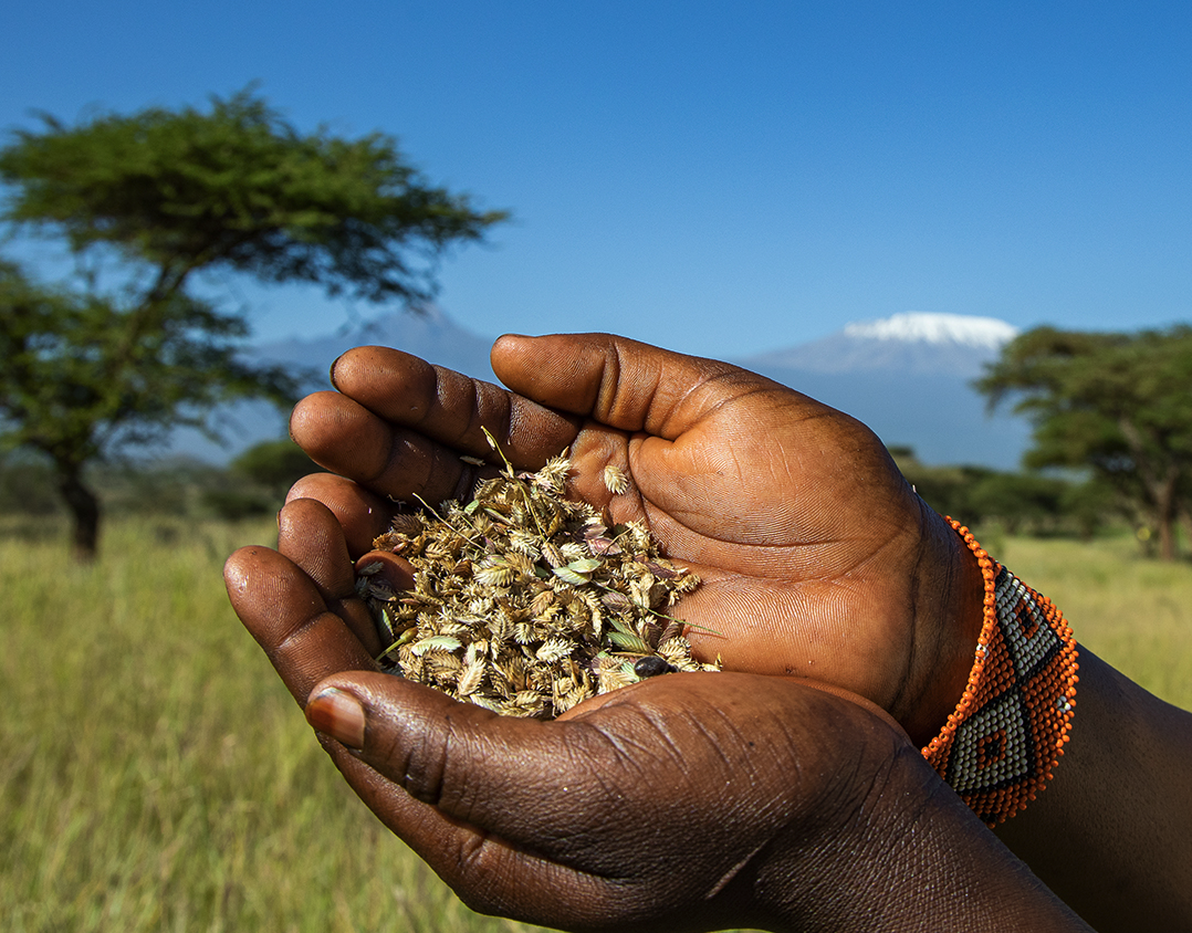 A green strategy to reach more climate-conscious donors